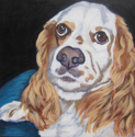 Painting--Acrylic-AnimalsMr. Fancy