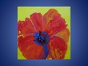 Painting--Acrylic-AbstractORANGE POPPY