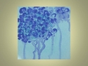 Painting-MAUVE SPRING