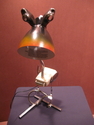 orange rimmed lamp bird