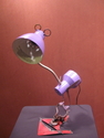 purple lamp bird