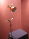 orange lamp bird