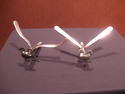 two dragon-flys 