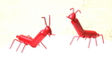 funny animals /