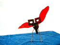Fly