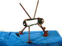 Crab 