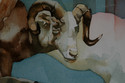 Painting--Watercolor-AnimalsField Museum, Chicago (detail)