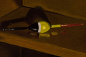 Painting-Studio Bookshelf (detail)