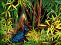 Nature%20Walk%20Tile (thumbnail)