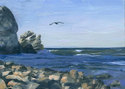 Bird%20Rock (thumbnail)