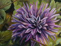 Dahlia%20in%20Lavender (thumbnail)