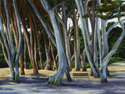 Tall%20Trees%20%231 (thumbnail)