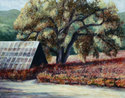 Wine%20Grapes (thumbnail)