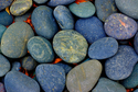 Daniel Holik - Bonsai Stones  #0296