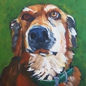 Charlie (thumbnail)