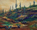 Arizona%20Hills (thumbnail)