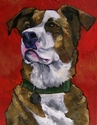 Hank (thumbnail)