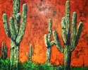 SAGUARO%20FORREST (thumbnail)