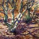 DESERT%20SHADE (thumbnail)