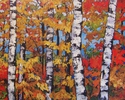 COLORADO%20COLORBURST (thumbnail)