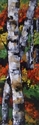 ASPEN%20SERIES%20%237 (thumbnail)