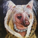 Tulula (thumbnail)