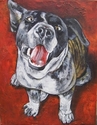 Maggie (thumbnail)