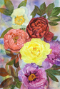 Peonies%20Galore (thumbnail)