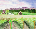 Oregon%20Wine%20Country%20III (thumbnail)