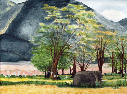 African series