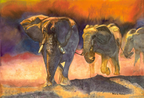 Tanzanian%20Elephant%20Stampede%20II (large view)