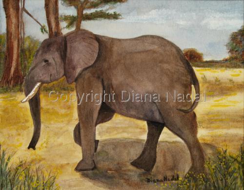 Elephant%20Walk (large view)