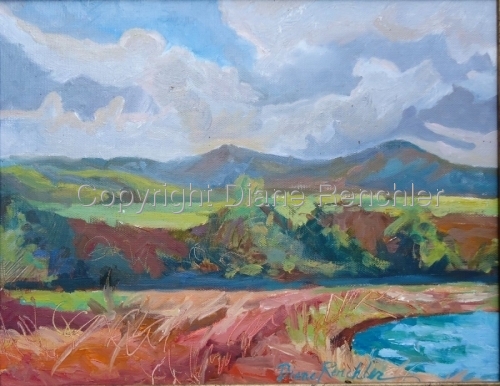 Oils