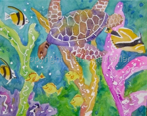 Sealife 