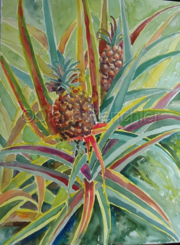 Botanical