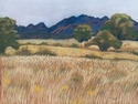 Fields%20of%20Grace (thumbnail)
