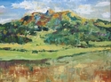 Safe%20Pasture%202 (thumbnail)