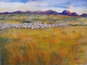 Safe%20Pasture (thumbnail)