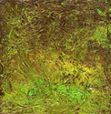 Tropical%20Forest (thumbnail)