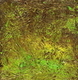 Painting-Tropical Forest