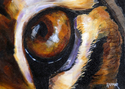 EYE%20OF%20A%20PREDATOR (thumbnail)