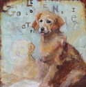 Portrait%20of%20a%20Golden%20Retriever (thumbnail)