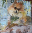 Portrait%20of%20PJ%20he%20Pomeranian (thumbnail)
