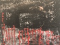 Elysa Belessakos - Quiet Place #1