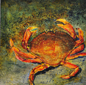 Mr. Dungeness