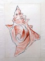 Drawing-Sea Shell Study
