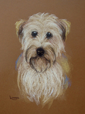 Painting--Pastels-AnimalsMurphy