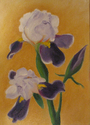 Painting--Oil-FloralIris