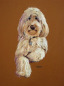 Painting--Pastels-AnimalsZoe