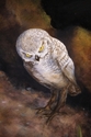 Painting--Murals-AllegoricalREVERIE (detail),  Whole Foods Market- Santa Fe NM